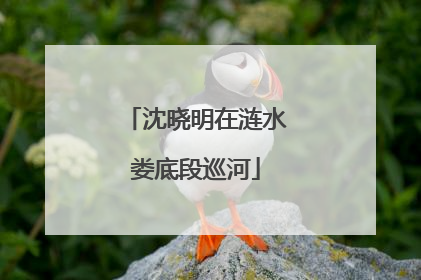 沈晓明在涟水娄底段巡河