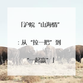 沪皖“山海情”：从“拉一把”到“一起赢”