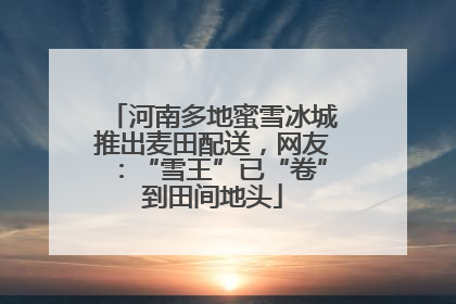 河南多地蜜雪冰城推出麦田配送，网友：“雪王”已“卷”到田间地头