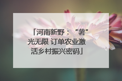 河南新野：“薯”光无限 订单农业激活乡村振兴密码