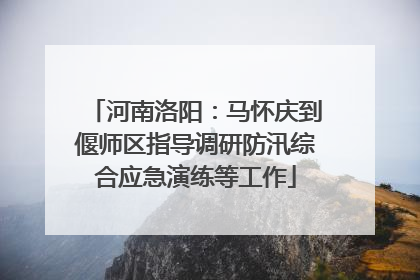 河南洛阳：马怀庆到偃师区指导调研防汛综合应急演练等工作