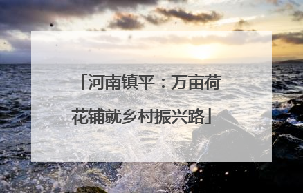 河南镇平：万亩荷花铺就乡村振兴路