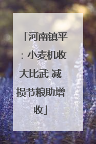 河南镇平：小麦机收大比武 减损节粮助增收