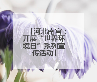 河北南宫：开展“世界环境日”系列宣传活动