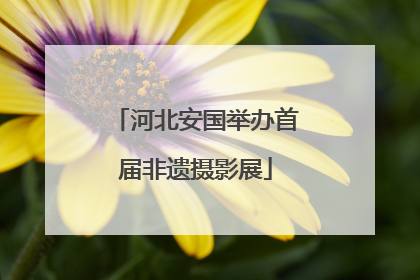 河北安国举办首届非遗摄影展