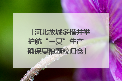 河北故城多措并举护航“三夏”生产 确保夏粮颗粒归仓