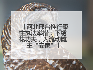 河北邢台推行柔性执法举措：下绣花功夫，为流动摊主“安家”