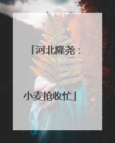 河北隆尧：小麦抢收忙