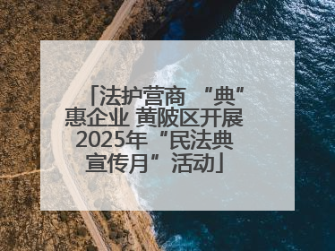 法护营商 “典”惠企业 黄陂区开展2025年“民法典宣传月”活动