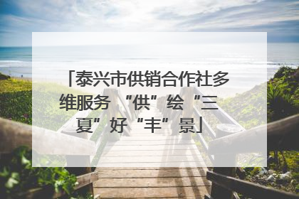 泰兴市供销合作社多维服务 “供”绘“三夏”好“丰”景