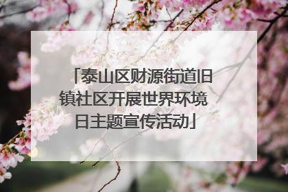 泰山区财源街道旧镇社区开展世界环境日主题宣传活动