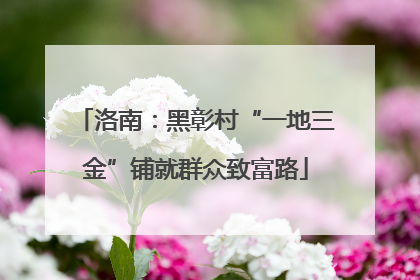 洛南：黑彰村“一地三金”铺就群众致富路
