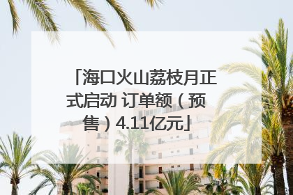 海口火山荔枝月正式启动 订单额（预售）4.11亿元