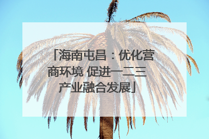 海南屯昌：优化营商环境 促进一二三产业融合发展