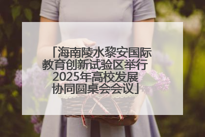 海南陵水黎安国际教育创新试验区举行2025年高校发展协同圆桌会会议