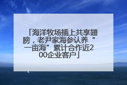 海洋牧场插上共享翅膀，老尹家海参认养“一亩海”累计合作近200企业客户