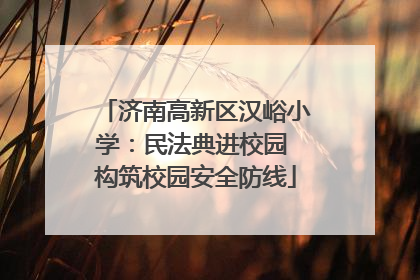 济南高新区汉峪小学：民法典进校园 构筑校园安全防线