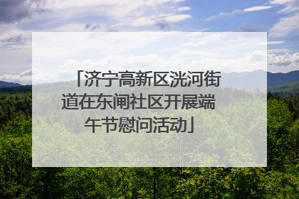 济宁高新区洸河街道在东闸社区开展端午节慰问活动