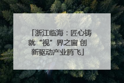 浙江临海：匠心铸就“视”界之窗 创新驱动产业腾飞