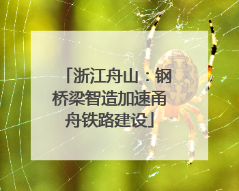 浙江舟山：钢桥梁智造加速甬舟铁路建设