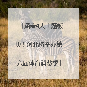 涵盖4大主题板块！河北将举办第六届体育消费季