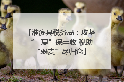 淮滨县税务局：攻坚“三夏”保丰收 税助“弱麦”尽归仓