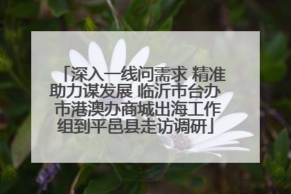 深入一线问需求 精准助力谋发展 临沂市台办 市港澳办商城出海工作组到平邑县走访调研
