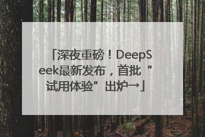 深夜重磅！DeepSeek最新发布，首批“试用体验”出炉→