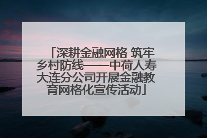 深耕金融网格 筑牢乡村防线——中荷人寿大连分公司开展金融教育网格化宣传活动