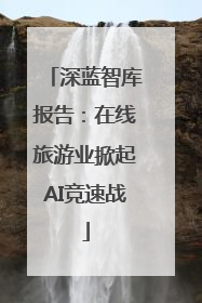 深蓝智库报告：在线旅游业掀起AI竞速战