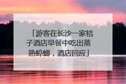 游客在长沙一家桔子酒店早餐中吃出蒸熟蟑螂，酒店回应