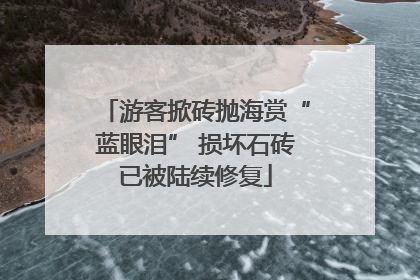 游客掀砖抛海赏“蓝眼泪” 损坏石砖已被陆续修复
