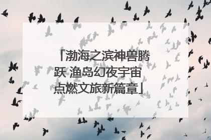 渤海之滨神兽腾跃 渔岛幻夜宇宙点燃文旅新篇章