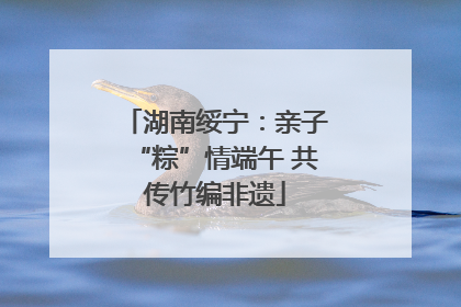 湖南绥宁：亲子“粽”情端午 共传竹编非遗