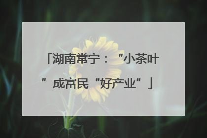 湖南常宁：“小茶叶”成富民“好产业”