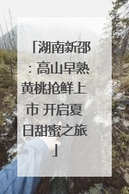 湖南新邵：高山早熟黄桃抢鲜上市 开启夏日甜蜜之旅