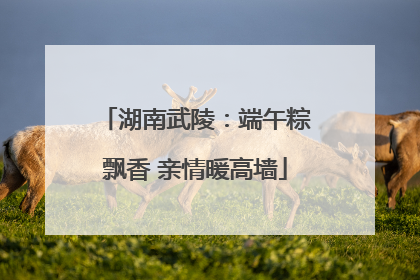 湖南武陵：端午粽飘香 亲情暖高墙