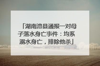 湖南澧县通报一对母子落水身亡事件：均系溺水身亡，排除他杀