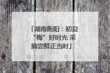湖南衡阳：初夏“梅”好时光 采摘尝鲜正当时