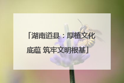 湖南道县：厚植文化底蕴 筑牢文明根基