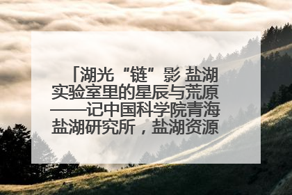 湖光“链”影 盐湖实验室里的星辰与荒原——记中国科学院青海盐湖研究所，盐湖资源化学实验室党总支书记、副主任刘忠