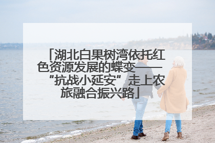 湖北白果树湾依托红色资源发展的蝶变——“抗战小延安”走上农旅融合振兴路