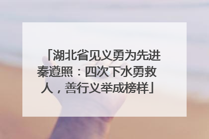湖北省见义勇为先进秦遵照：四次下水勇救人，善行义举成榜样