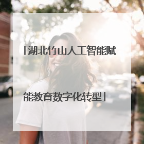 湖北竹山人工智能赋能教育数字化转型