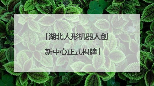 湖北人形机器人创新中心正式揭牌