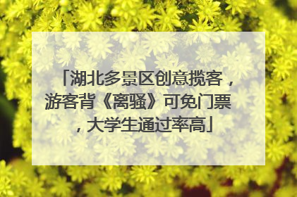 湖北多景区创意揽客，游客背《离骚》可免门票，大学生通过率高