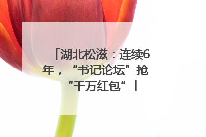 湖北松滋：连续6年，“书记论坛”抢“千万红包”