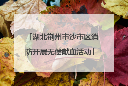 湖北荆州市沙市区消防开展无偿献血活动
