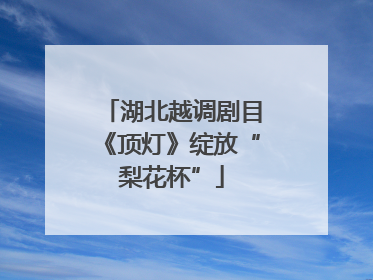 湖北越调剧目《顶灯》绽放“梨花杯”