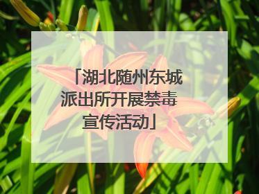 湖北随州东城派出所开展禁毒宣传活动